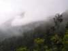 wodospadnastokukinabalu_small.jpg