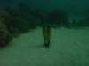samotnepetwy_small.jpg