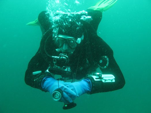konig4.jpg