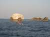 gazynasimilanach_small.jpg