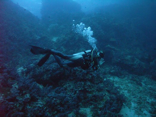 piotreknaszguruzasiandivers.jpg