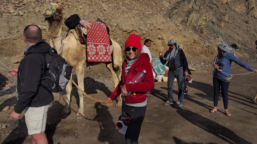 Nurkowanie na wielb��dach