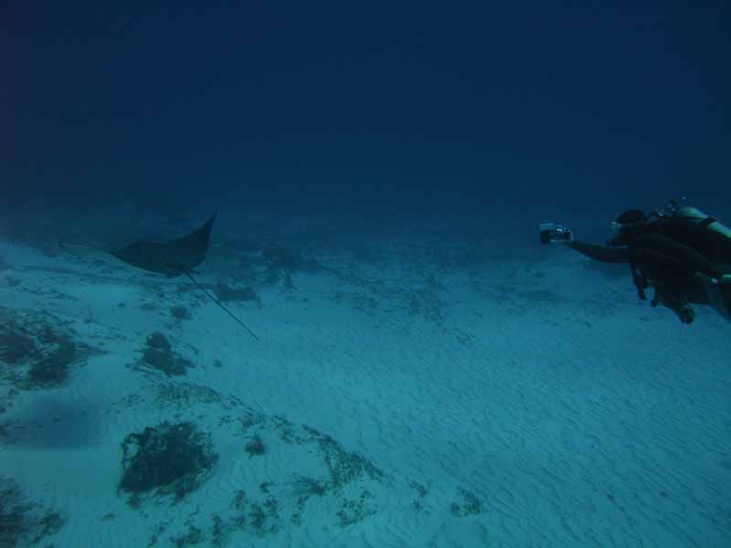 Cozumel