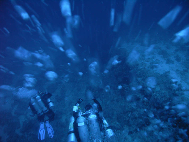 Zejcie do Neptun Cave