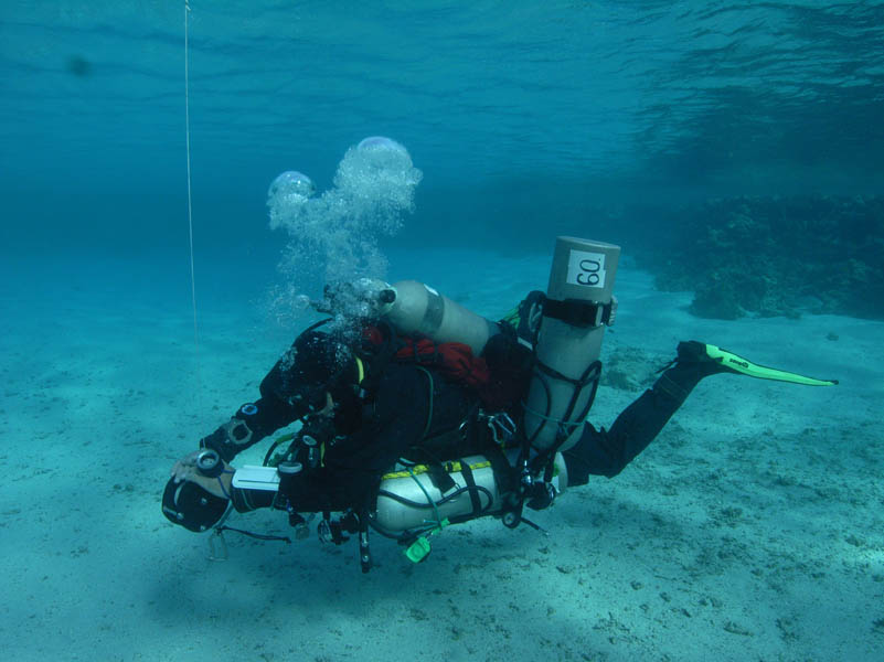 Po�egnanie z ciep�� wod� P�etwa