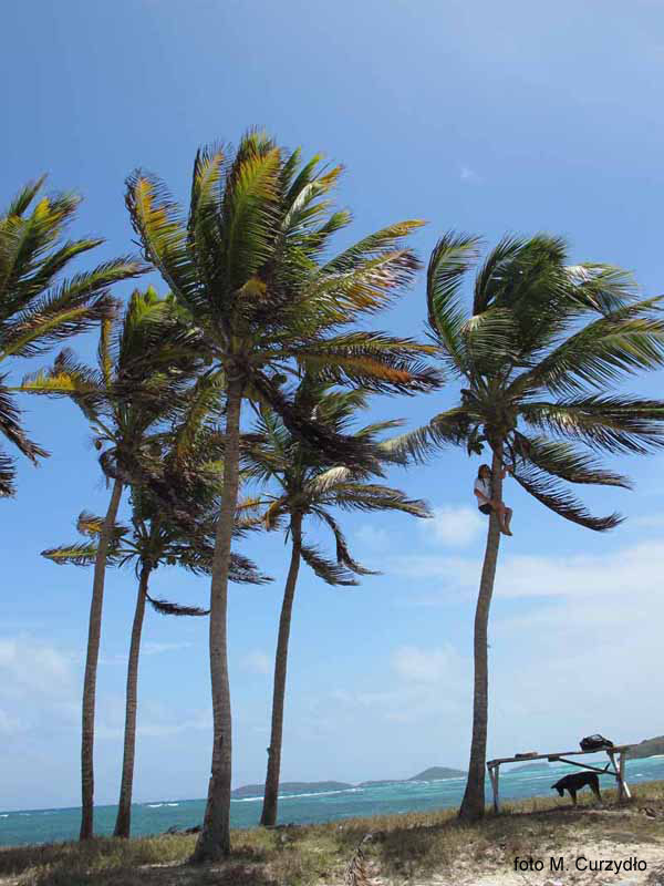 Znajd� Kazia na obrazku