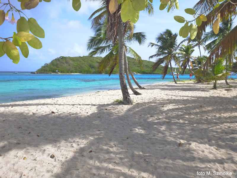 Na Mayreau mo�na r�wnie� za�y� cienia, jak kto potrzebuje (Iwona potrzebowa�a)