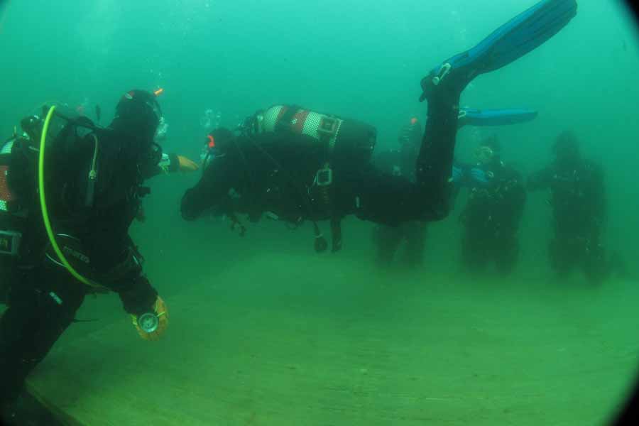 Zakrz�wek p�ywalno��