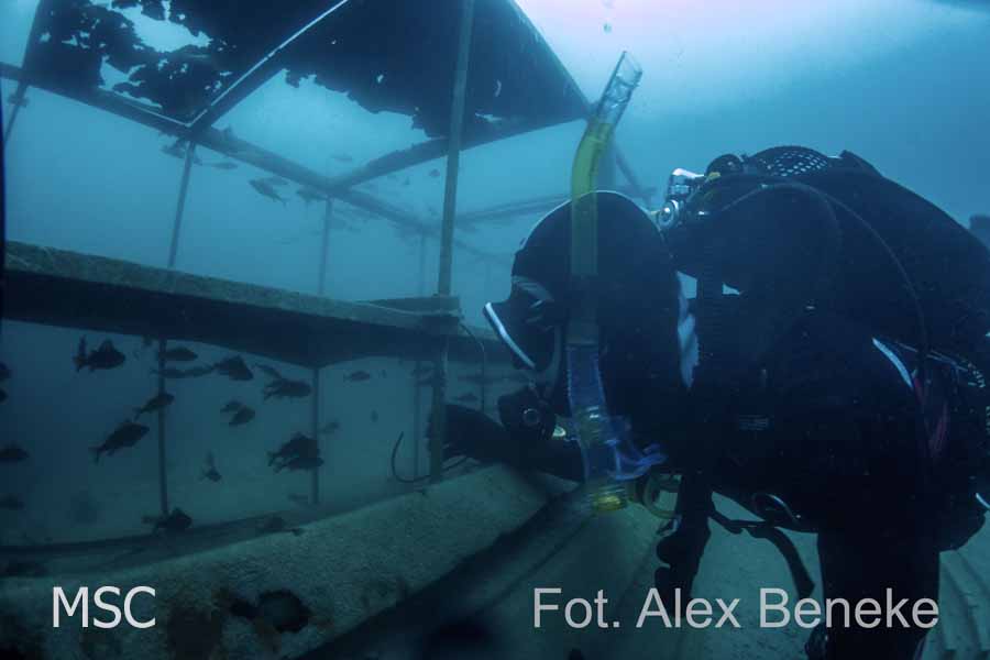 Kurs OWD Alex i Adrian