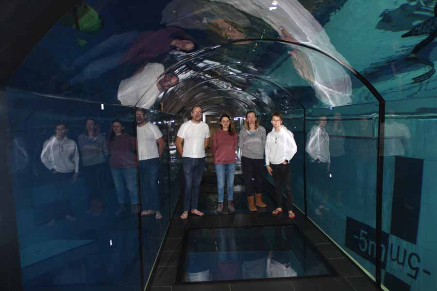 Grupa styczniowa w tunelu