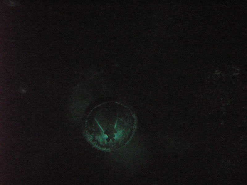 Autoportret w b�blu