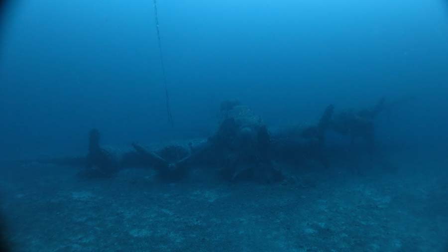 Do nast�pnego roku