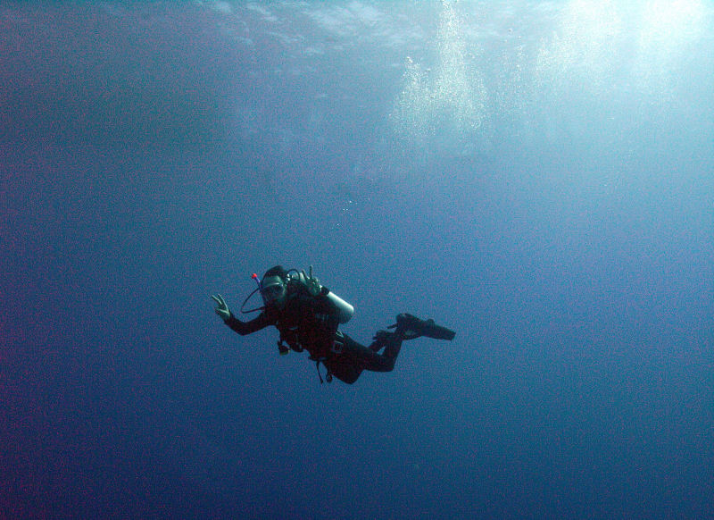 Krzy�kowi si� tu podoba