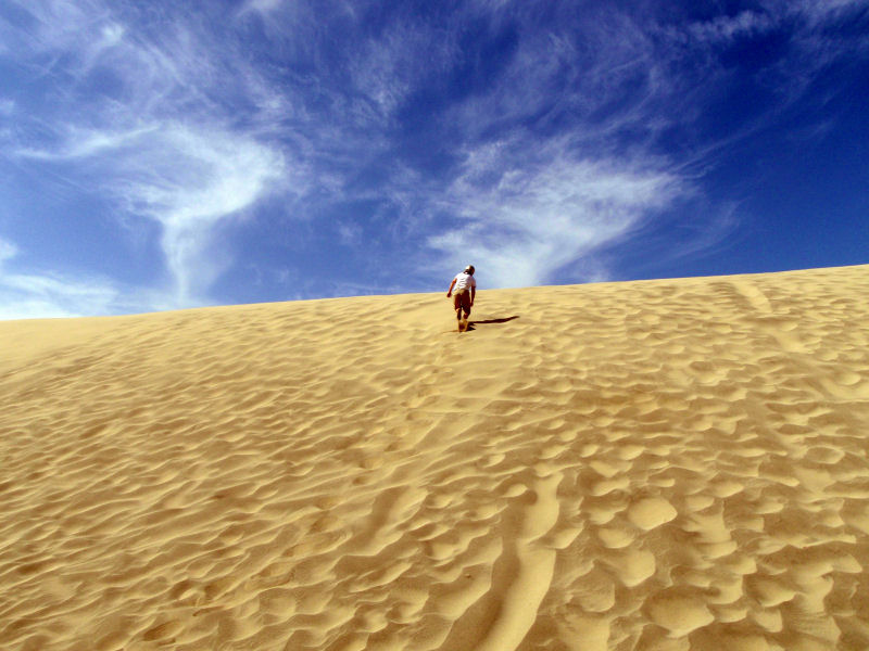 Kt�r�dy na Grunwald