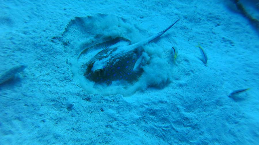 foto. Pawe� W�jcik