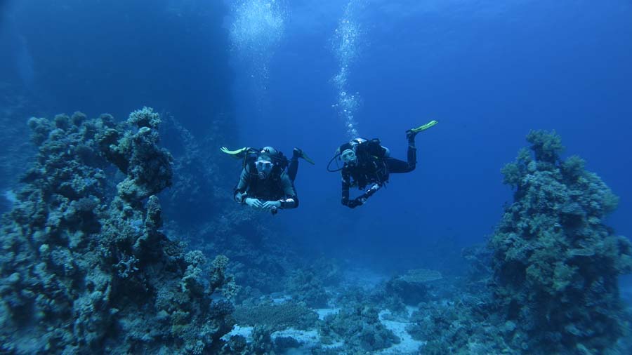 oto. Pawe� W�jcik