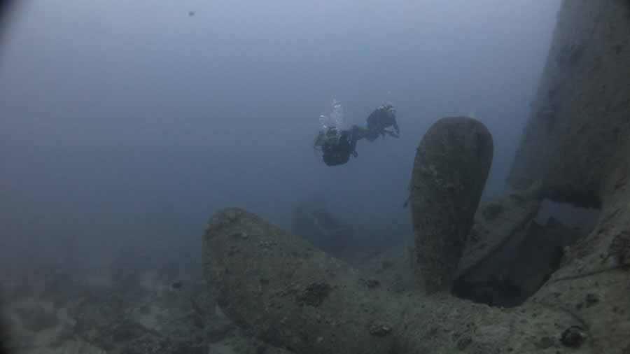 Thistlegorm