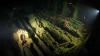 Thistlegorm