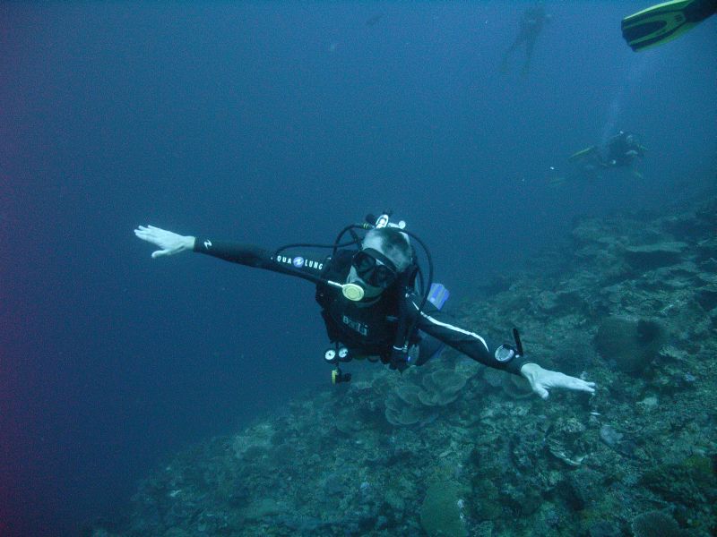 Blacha nurkuje swobodnie