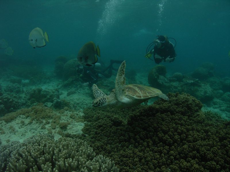 ��wie s� wsz�dzie...