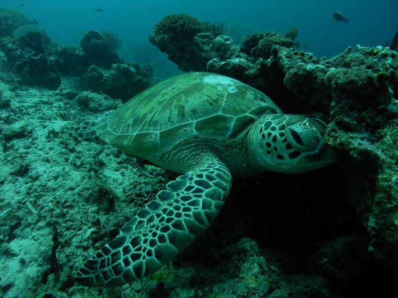 ...i s� bardzo bezpo�rednie