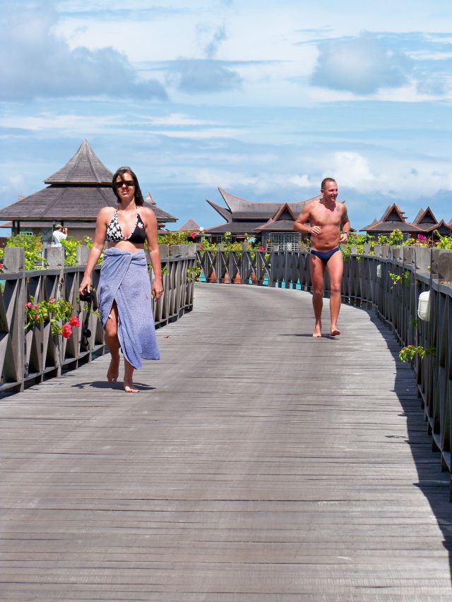 Kotka (i kot) na gor�cym drewnianym pomo�cie