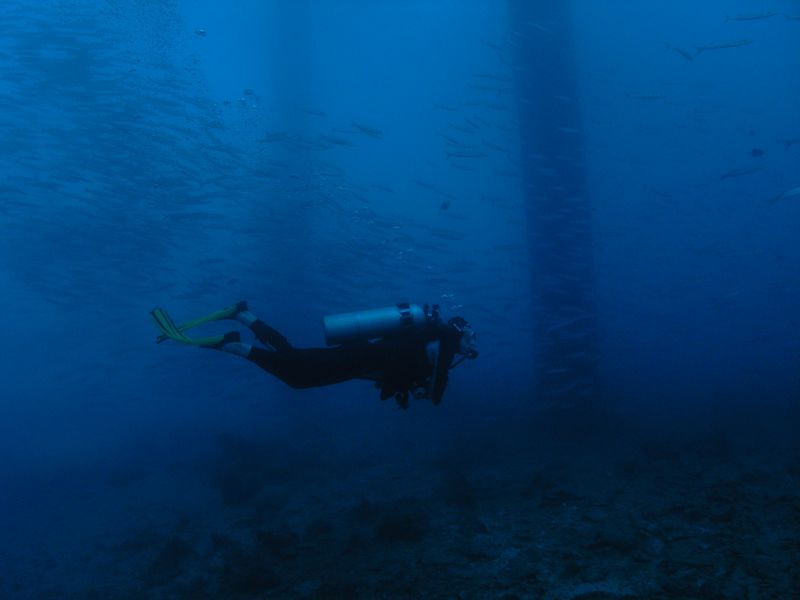 Iwona pod platform�