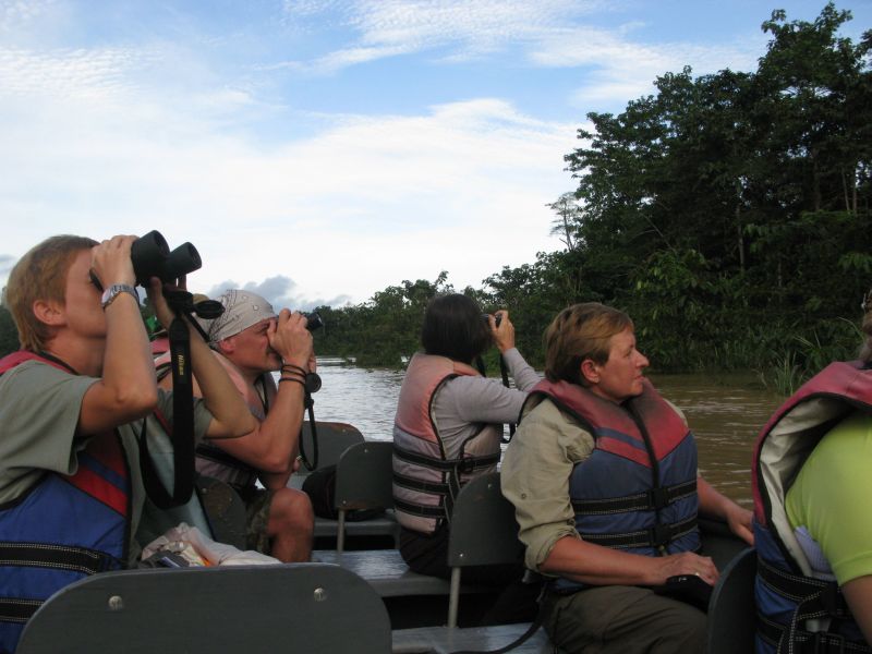 Wypatrujemy grubego zwierza