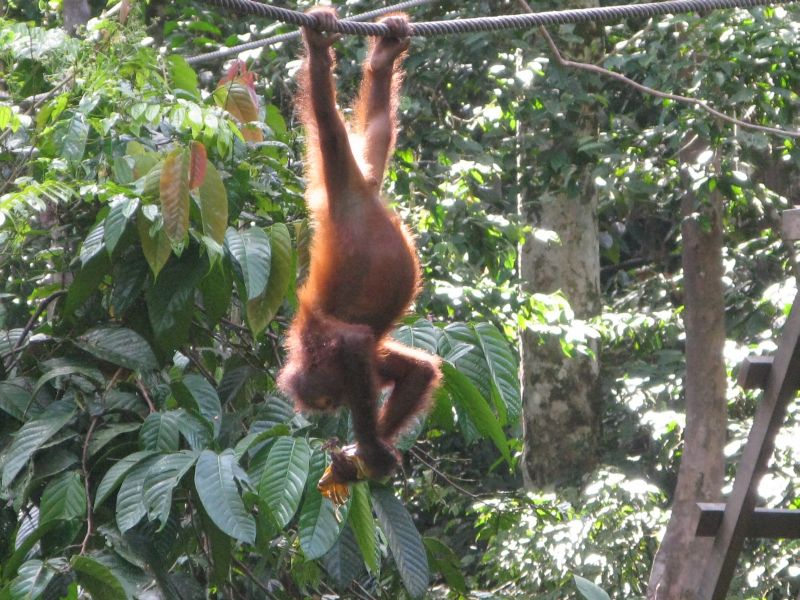 Posi�ek lepiej uk�ada si� w �o��dku