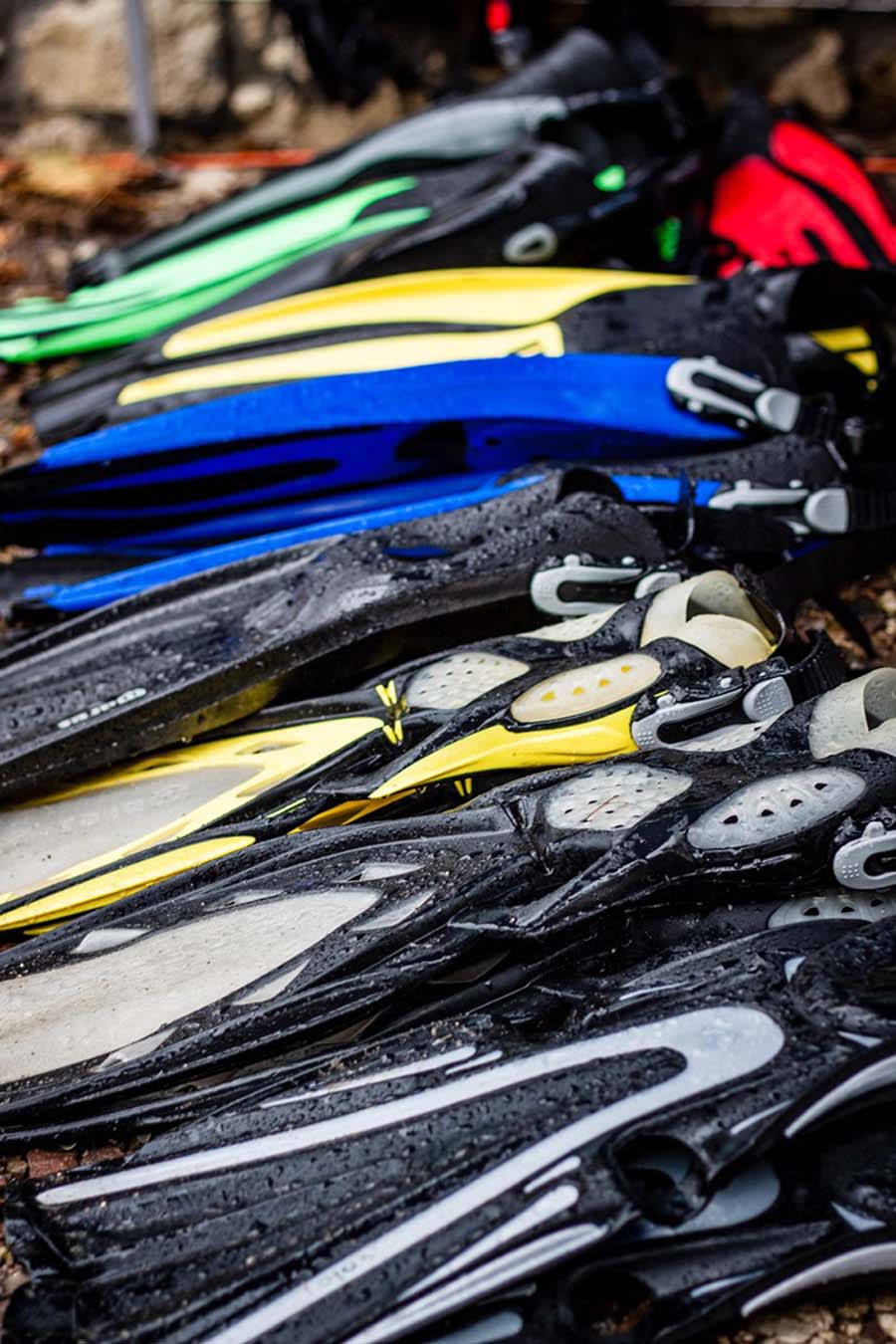  P�etwy firmy Mares