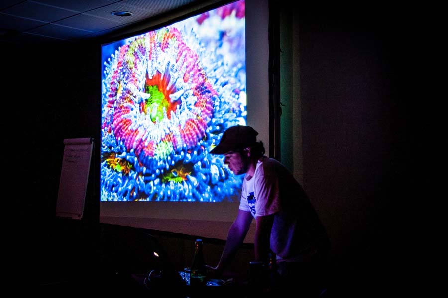  Bartek �ukasik - Fluorescencja organizm�w morskich